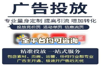某某SEM服务公司成功案例：从数据出发的营销策略